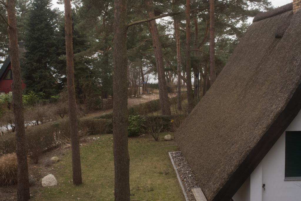 Reetdach-Ferienhaus In Quilitz Rankwitz Luaran gambar